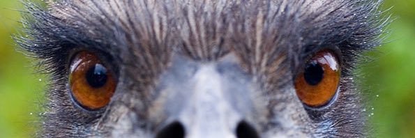 jay_10's profile banner image