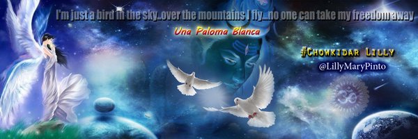 LillyMaryPinto Profile Banner