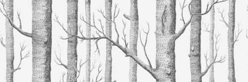 suminmcr's profile banner image