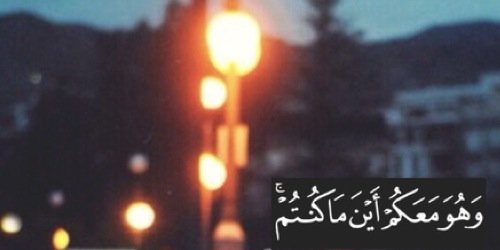 miss__Disaster's profile banner image