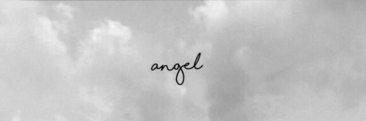 Evie Johnson 🇵🇸 Fan Account banner