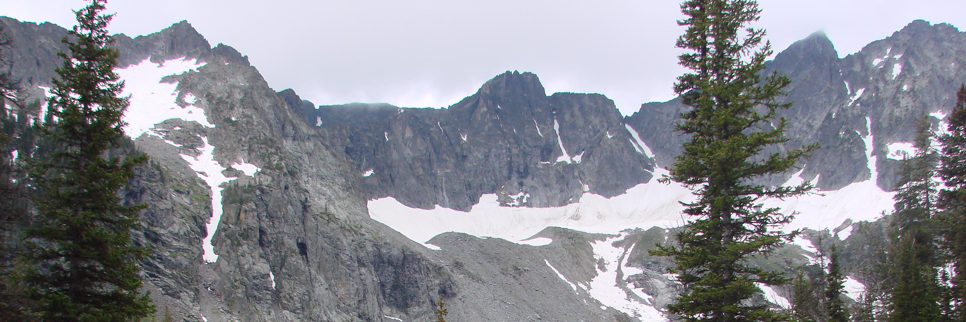 Elysia Larson banner