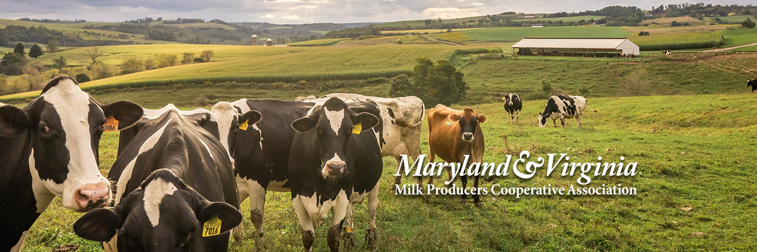Maryland & Virginia Milk Producers banner