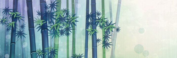 msmf40239's profile banner image