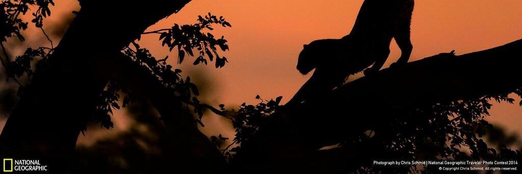 medi_ABC's profile banner image