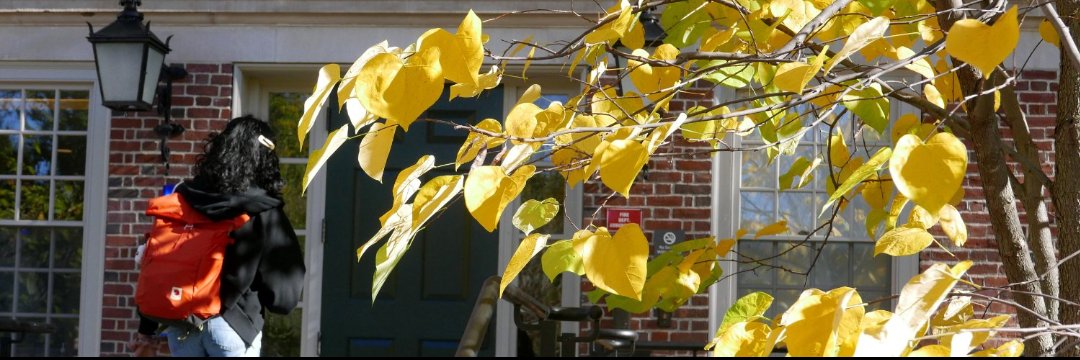 Al_HarvardU's profile banner image