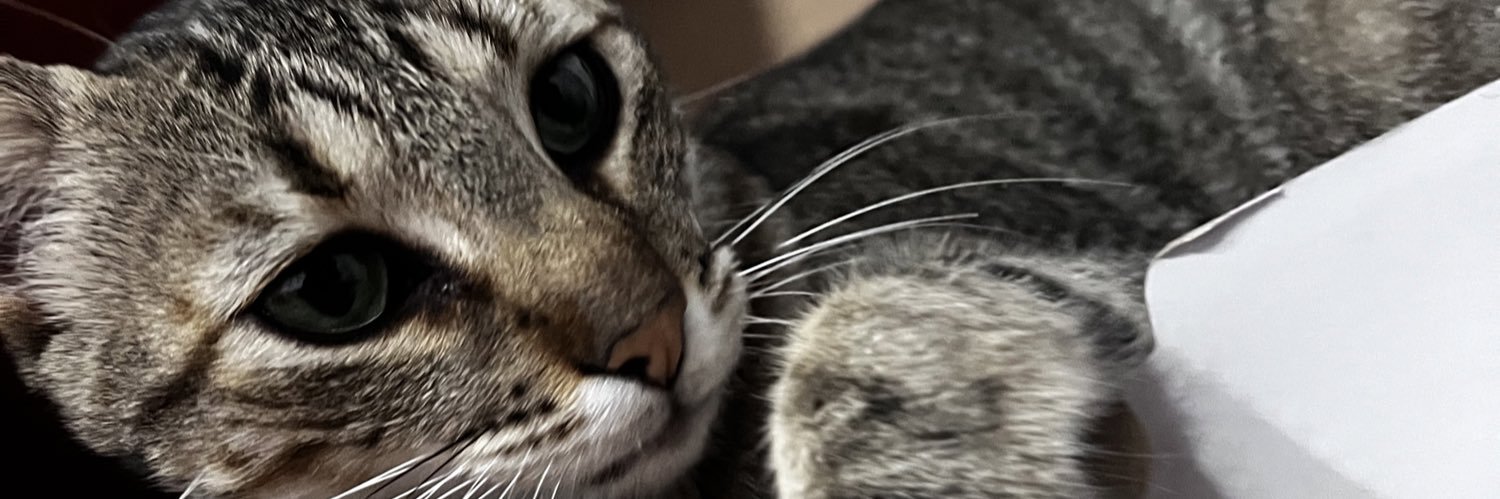 Rodrigo Anthony banner