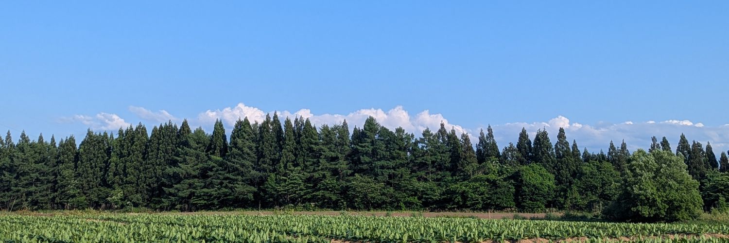 moemoe2525m's profile banner image