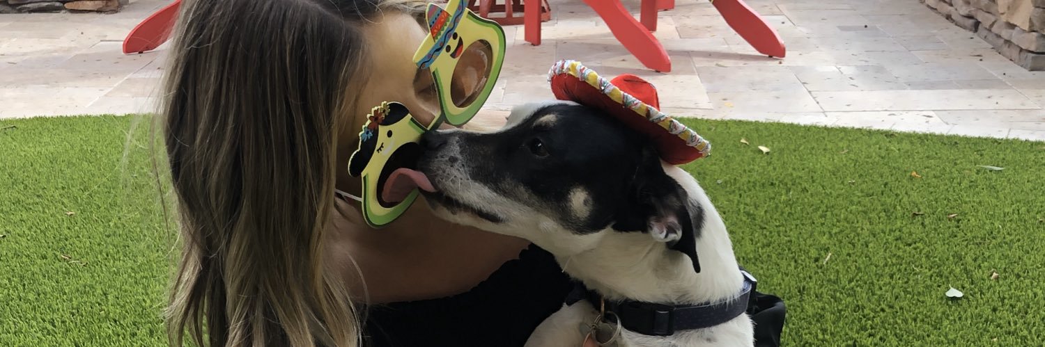 kelseyshumway's profile banner image
