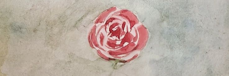 sempercoeur's profile banner image