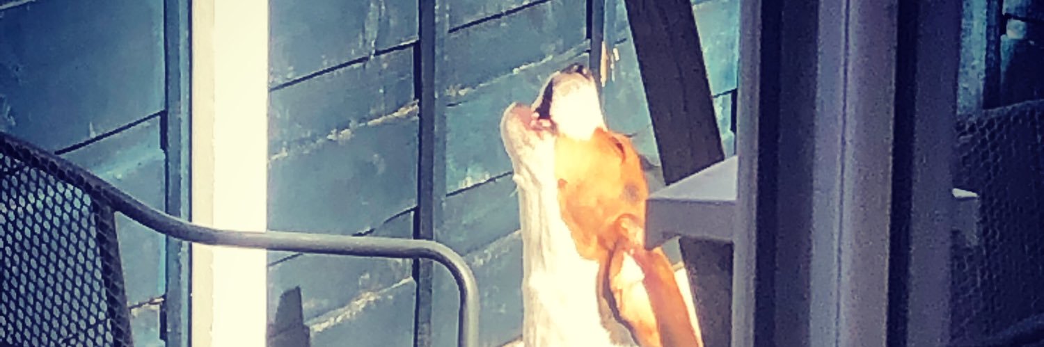 Boofy89's profile banner image