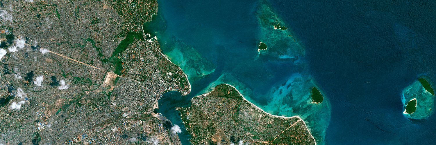 Dr Rachael Reynolds banner