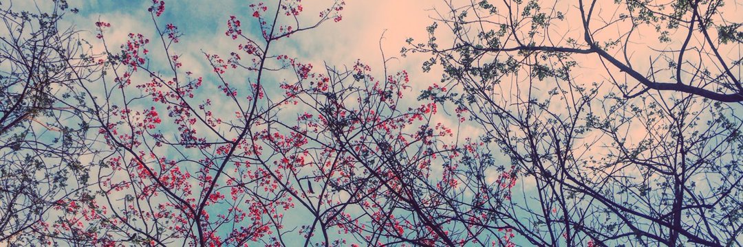 sumitgosara's profile banner image