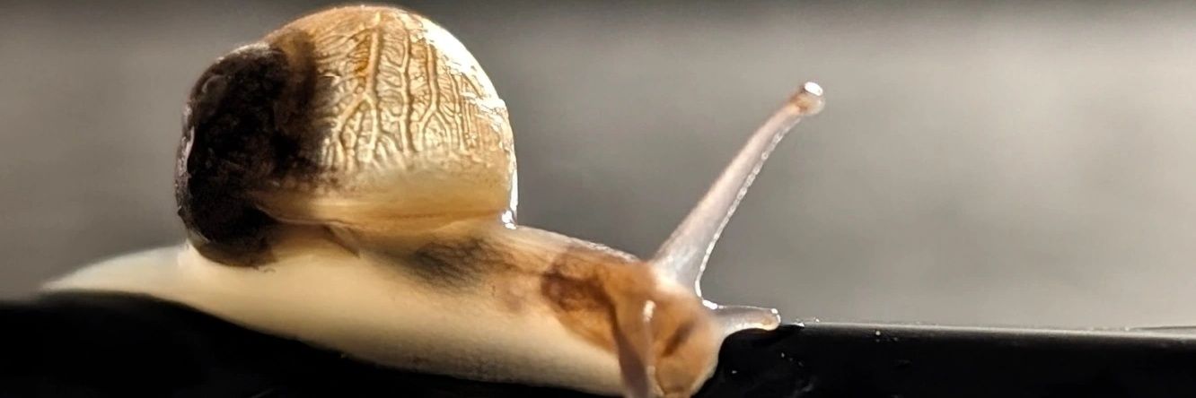 icemanneken's profile banner image