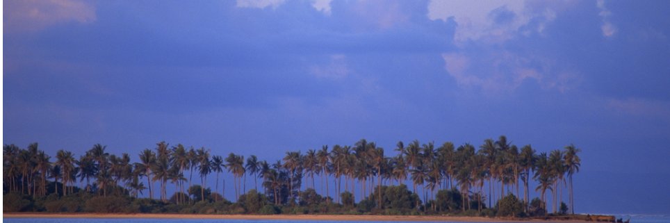 xiaomiaocrypto's profile banner image