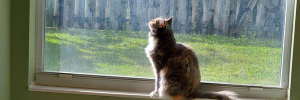 ryenter Profile Banner