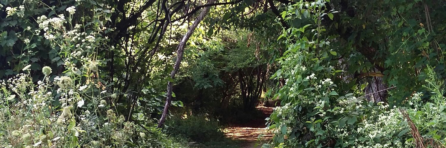 fatimasjournal's profile banner image