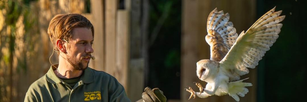 tomspursttid's profile banner image
