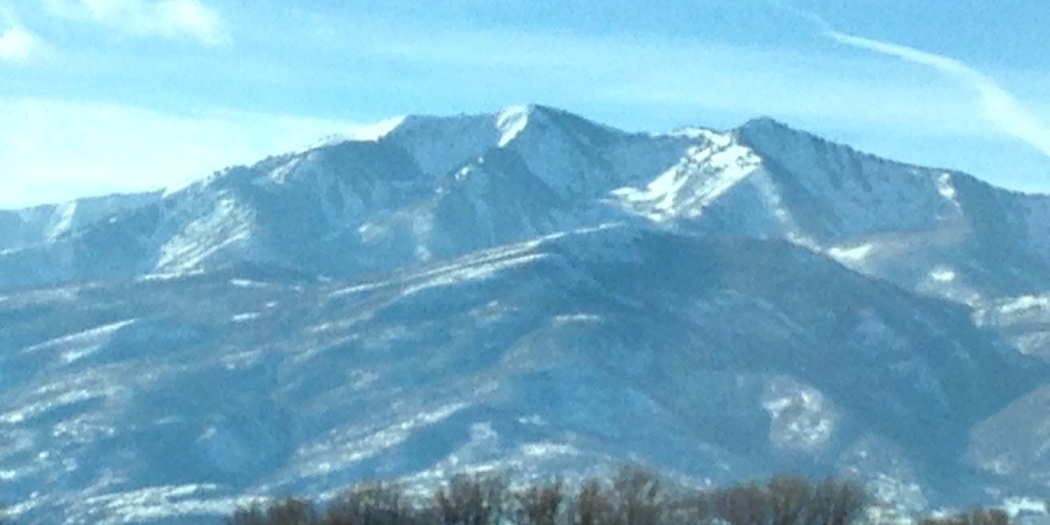 William McFarlin banner