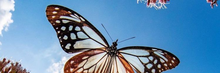 _lalalinds's profile banner image