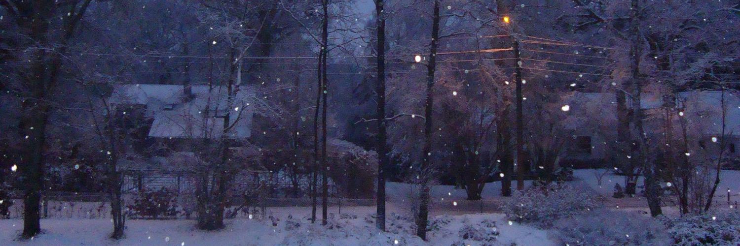 ElNieves94's profile banner image