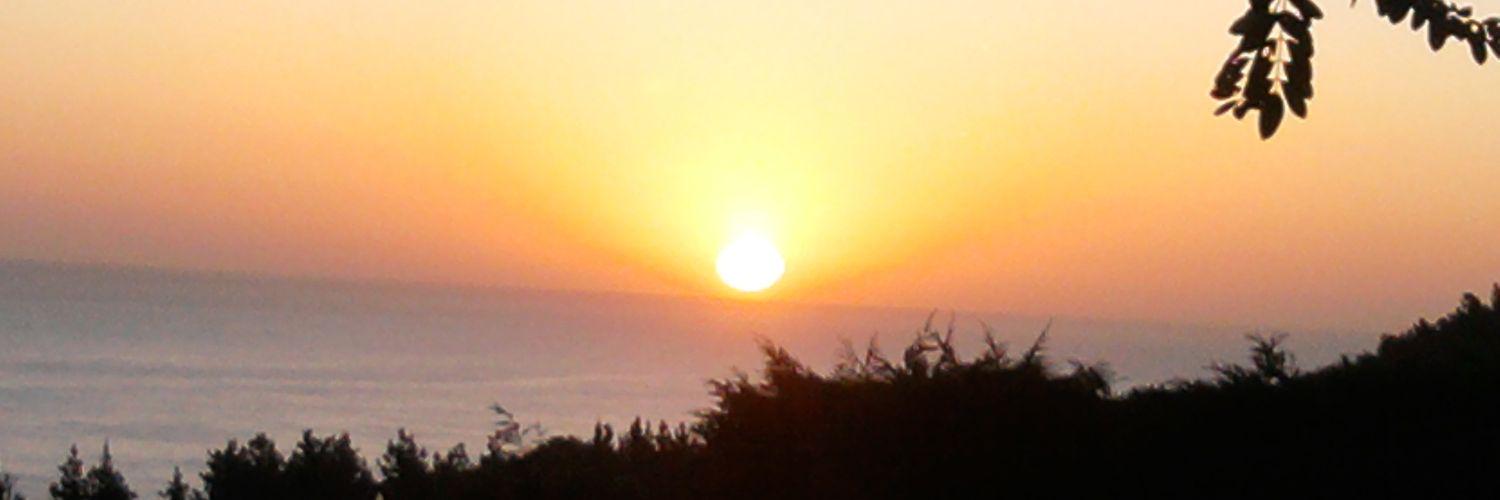 aea4646's profile banner image