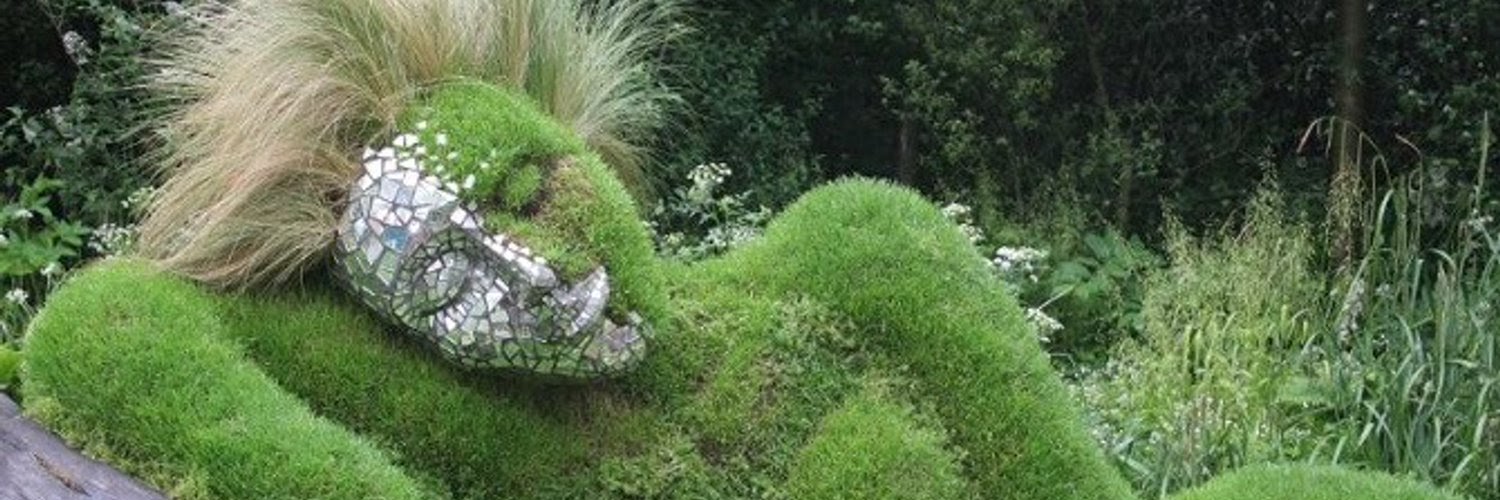 ficuspotus's profile banner image