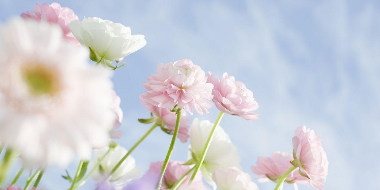 auliaaasl's profile banner image