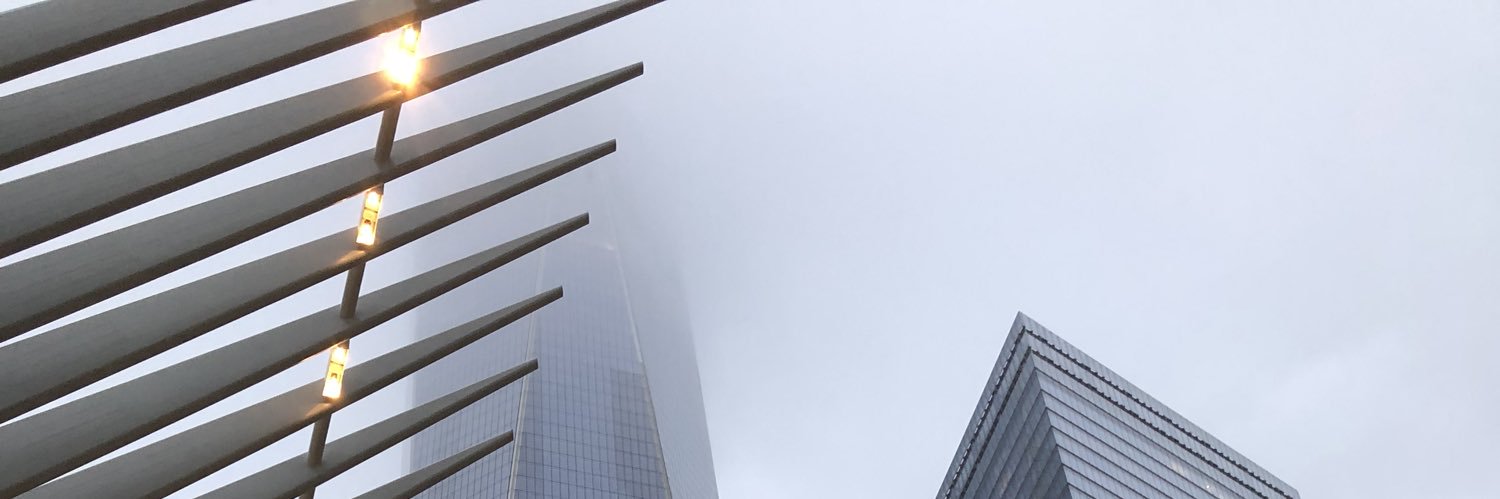 Bridget Chida banner