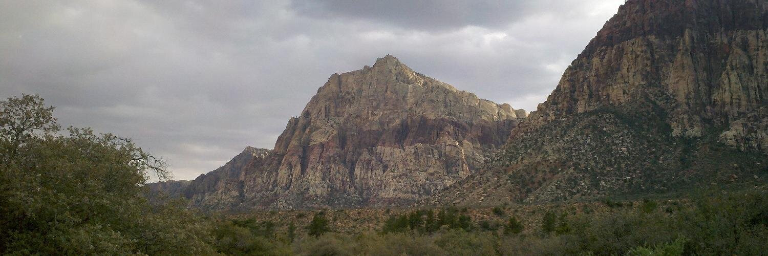 Terrisa Meeks banner