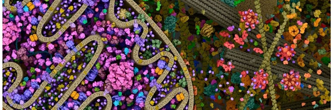 Raúl Beltrán banner