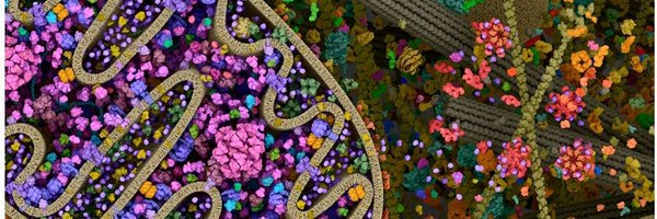 rbeltrandebon Profile Banner