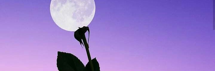karolmelorg's profile banner image