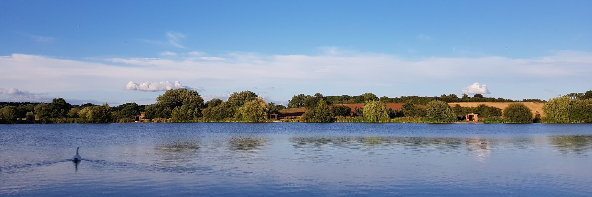 BadenFishing's profile banner image