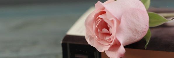 Kh_ija's profile banner image