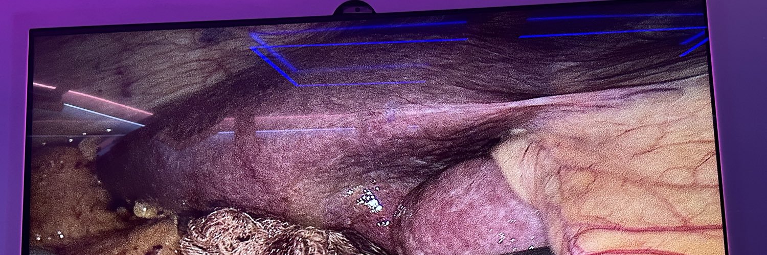 fede mileo MD banner