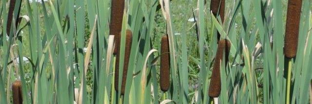 JoyceBClemons7's profile banner image