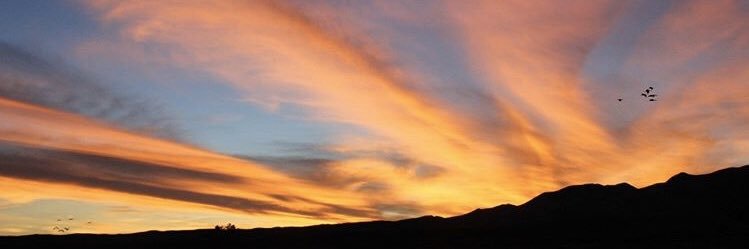 steveschenkk's profile banner image