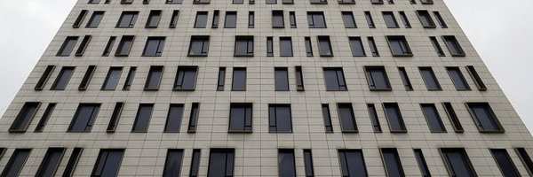 BellatrixBadger Profile Banner