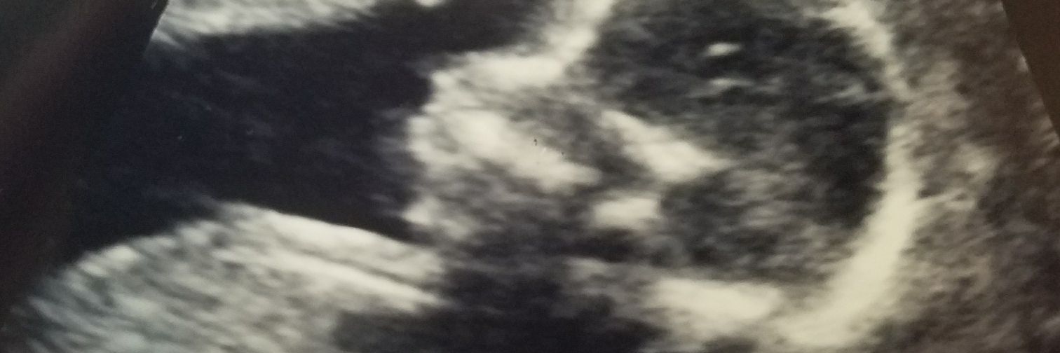 MsPurplePoptart's profile banner image