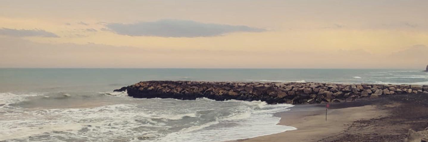 jaquiranieri's profile banner image