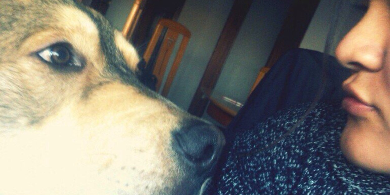 danisvv_'s profile banner image