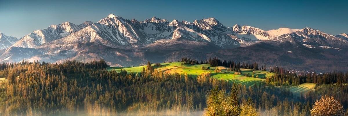 NGurvits's profile banner image