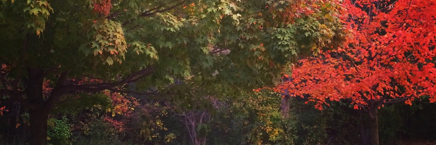 ashleychiado's profile banner image