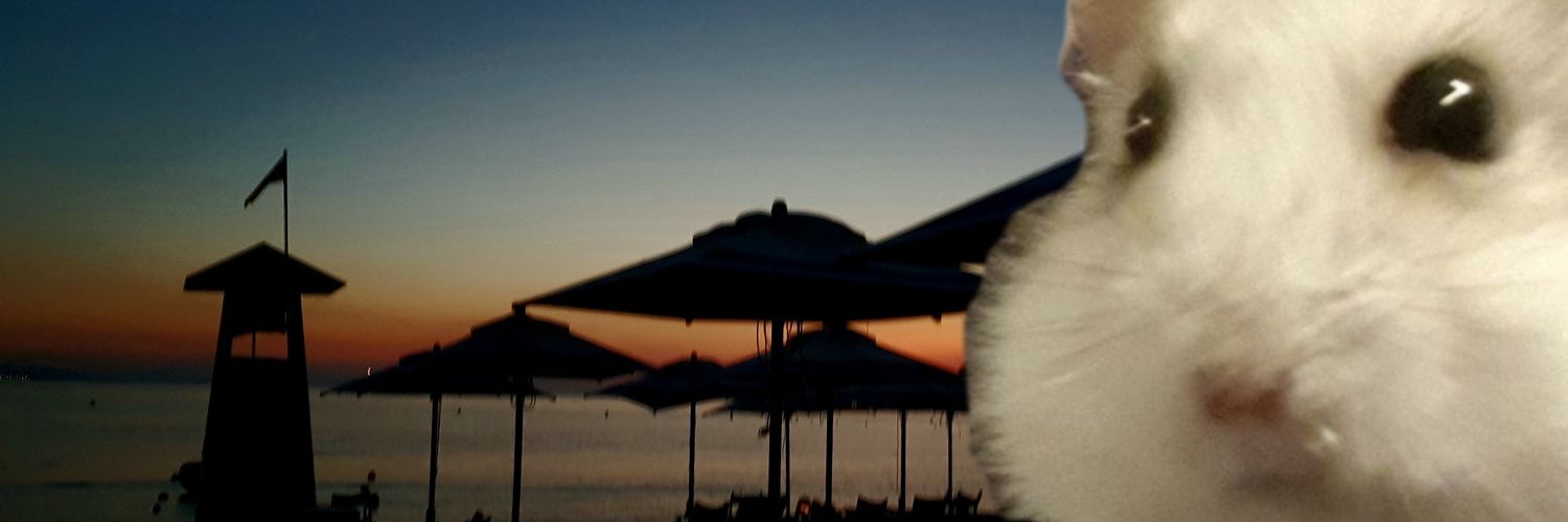 OllieTurts's profile banner image