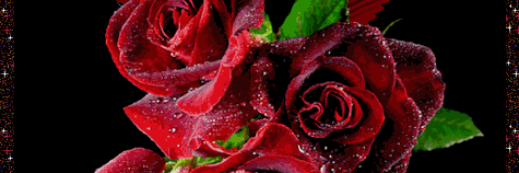 PasivoAlex's profile banner image