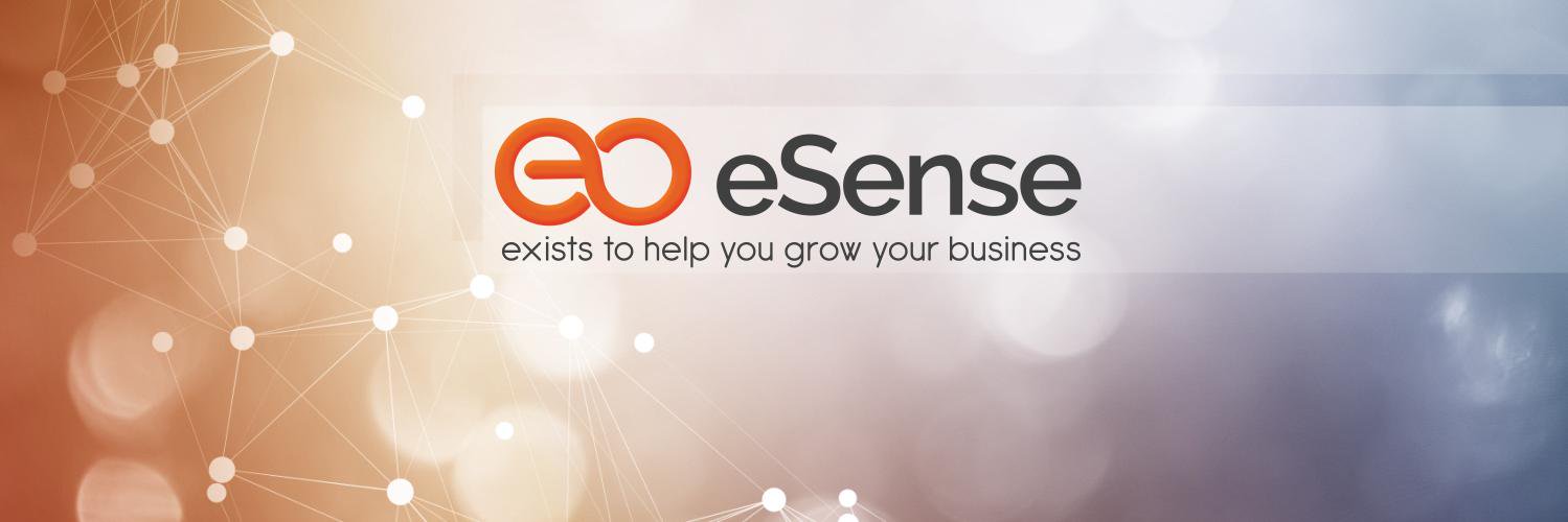 eSenseBGS's profile banner image