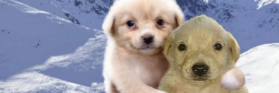 MajosMurillo's profile banner image