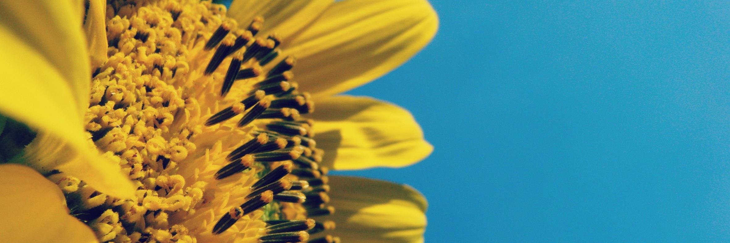 DanielleKSCPA's profile banner image