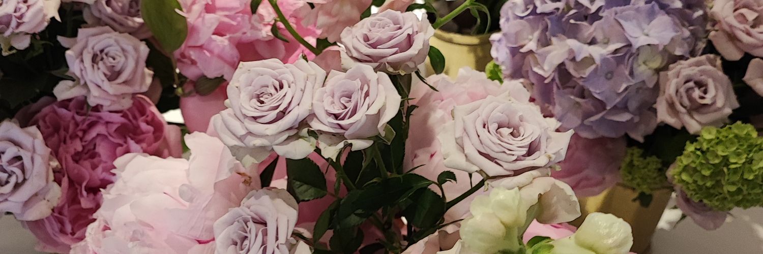 LauraPurling's profile banner image